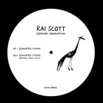 Rai Scott - Detached Observation