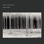 Neil Toliday - Mallumo