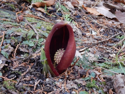 DSCN3899.JPG