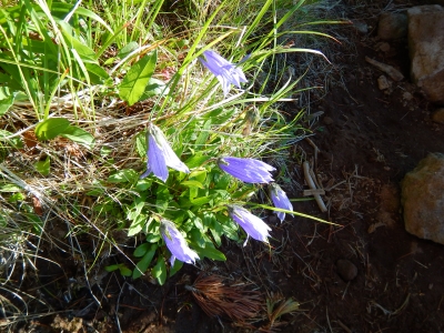 DSCN4853.JPG