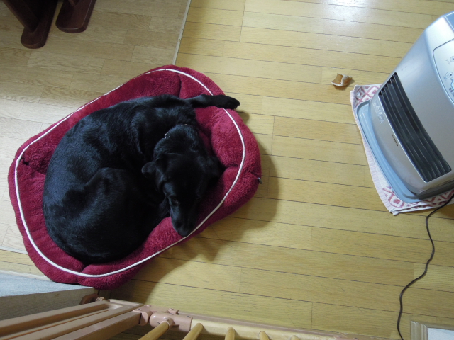 DSCN1714.JPG