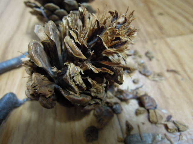 DSCN1759.JPG