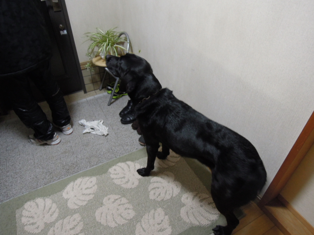 DSCN1773.JPG