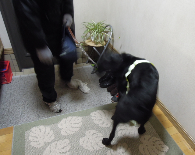 DSCN1775.JPG