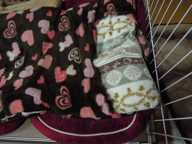 DSCN1827.JPG