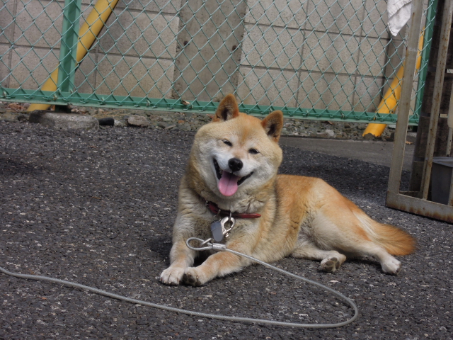 DSCN1931.JPG