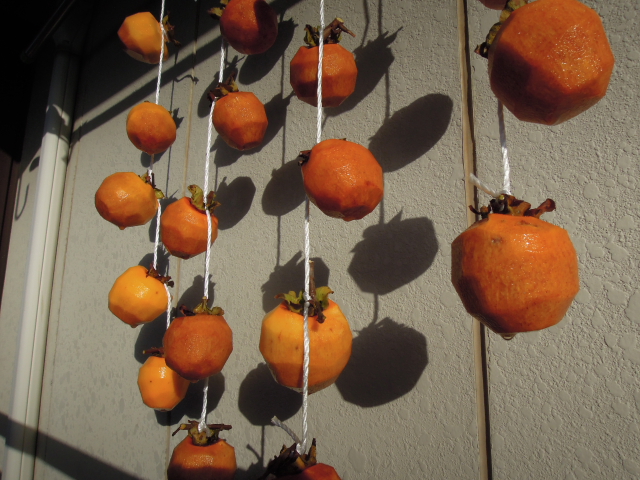 DSCN2130.JPG