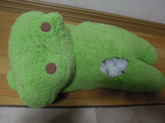DSCN2236.JPG