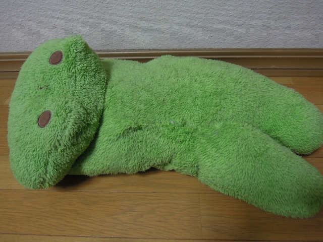 DSCN2238.JPG