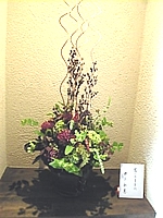 蔵