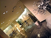 花展