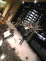 花展