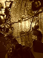 Scene