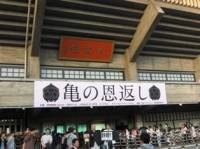 武道館で開催された亀の恩返し