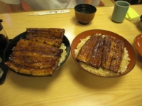 2つ並べるとこんな感じ