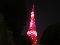 ピンクの東京タワー