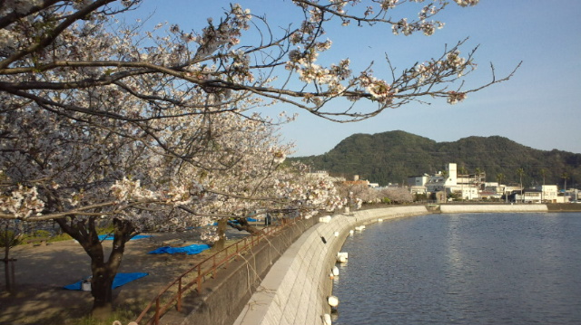 120406_171257.jpg