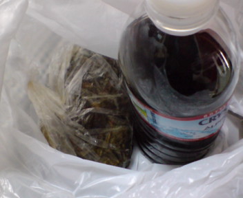 20080318221824.jpg