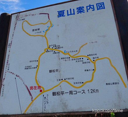 yamagatazao13.jpg