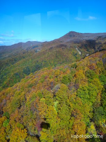 yamagatazao34.jpg