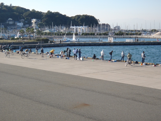 PB040005.JPG