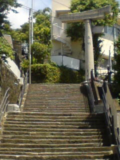 070826_1256~01.JPG