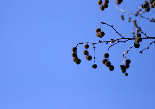090127木