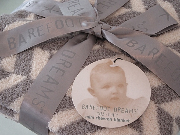 BAREFOOTDREAMS.jpg
