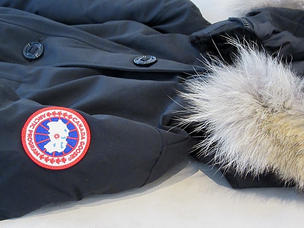 CANADA GOOSE 1.jpg