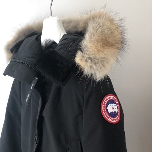 CANADA GOOSE  7.jpg