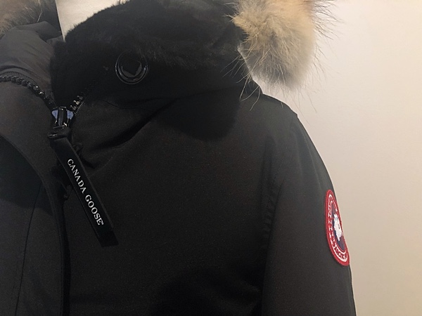 CANADA GOOSE 2.jpg