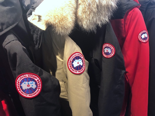 CANADA GOOSE.jpg