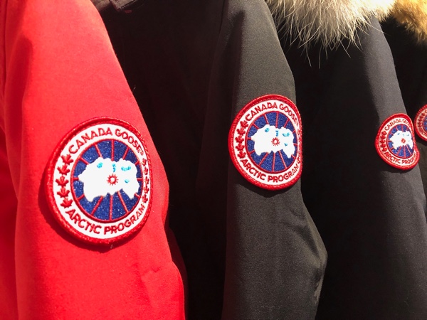 CANADA GOOSE.jpg