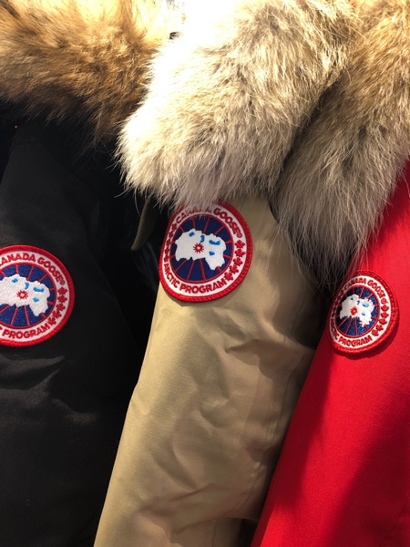 CANADA GOOSE.jpg