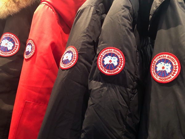 CANADA GOOSE.jpg