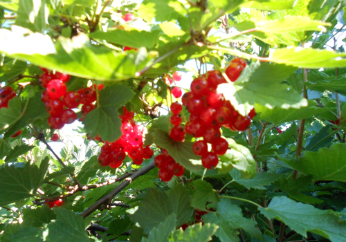 DSCN3077-02.jpg