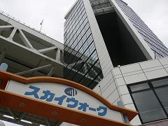 スカイウォーク1