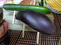 新盆牛と馬