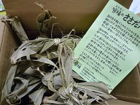笹団子