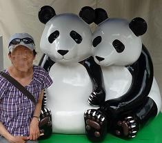 パンダオブジェと写真