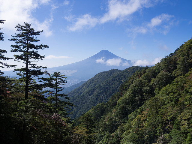 崖からの富士山