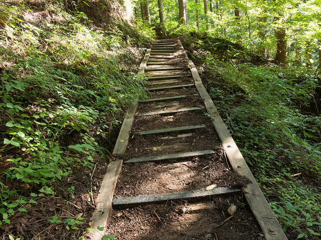 登山道