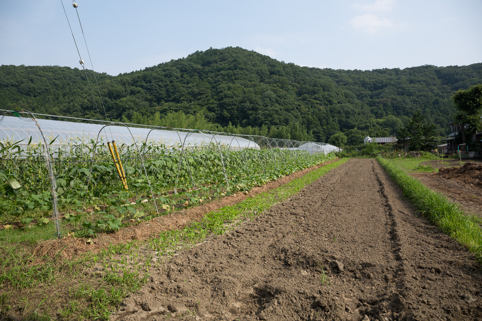 小川町
