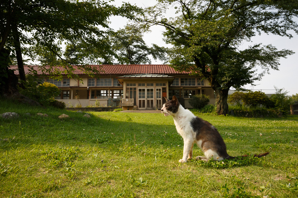 小川町立小川小学校 下里分校