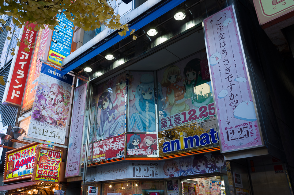 アニメイト
