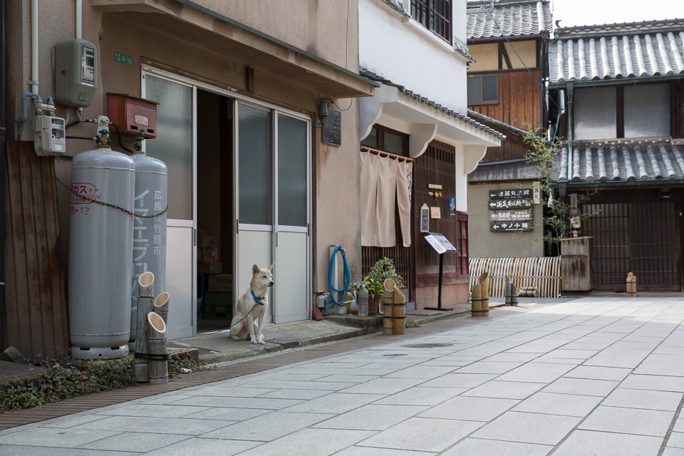 竹原の街並み13