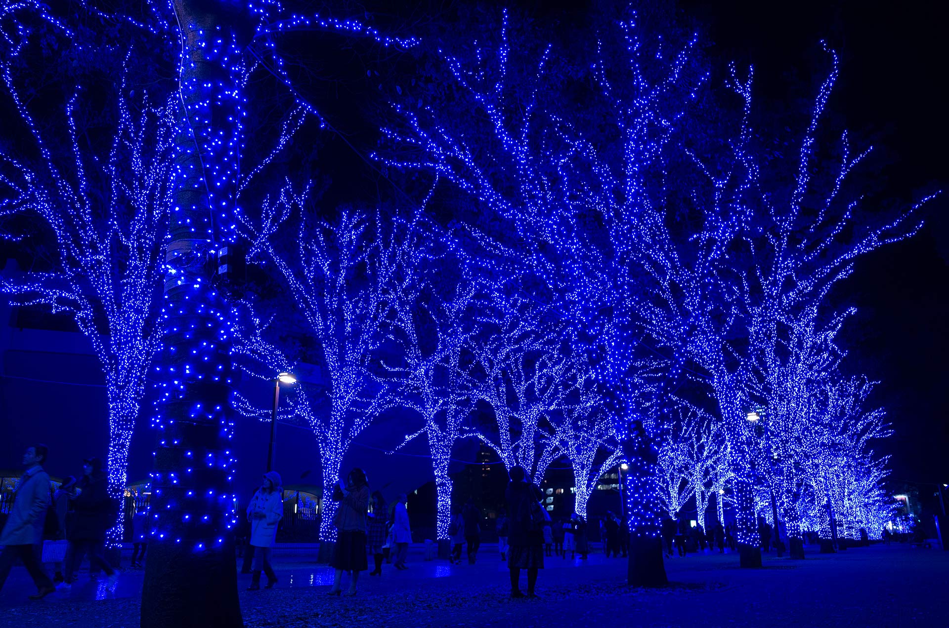 青の洞窟SHIBUYA07