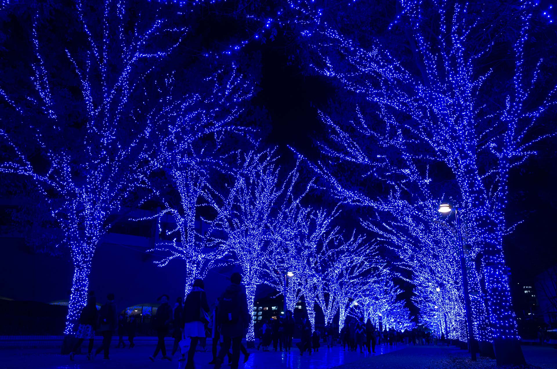 青の洞窟SHIBUYA