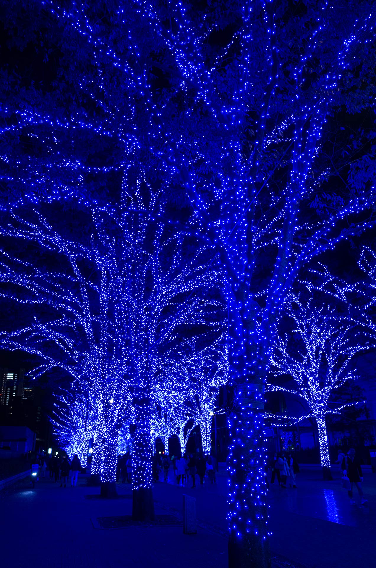 青の洞窟SHIBUYA08