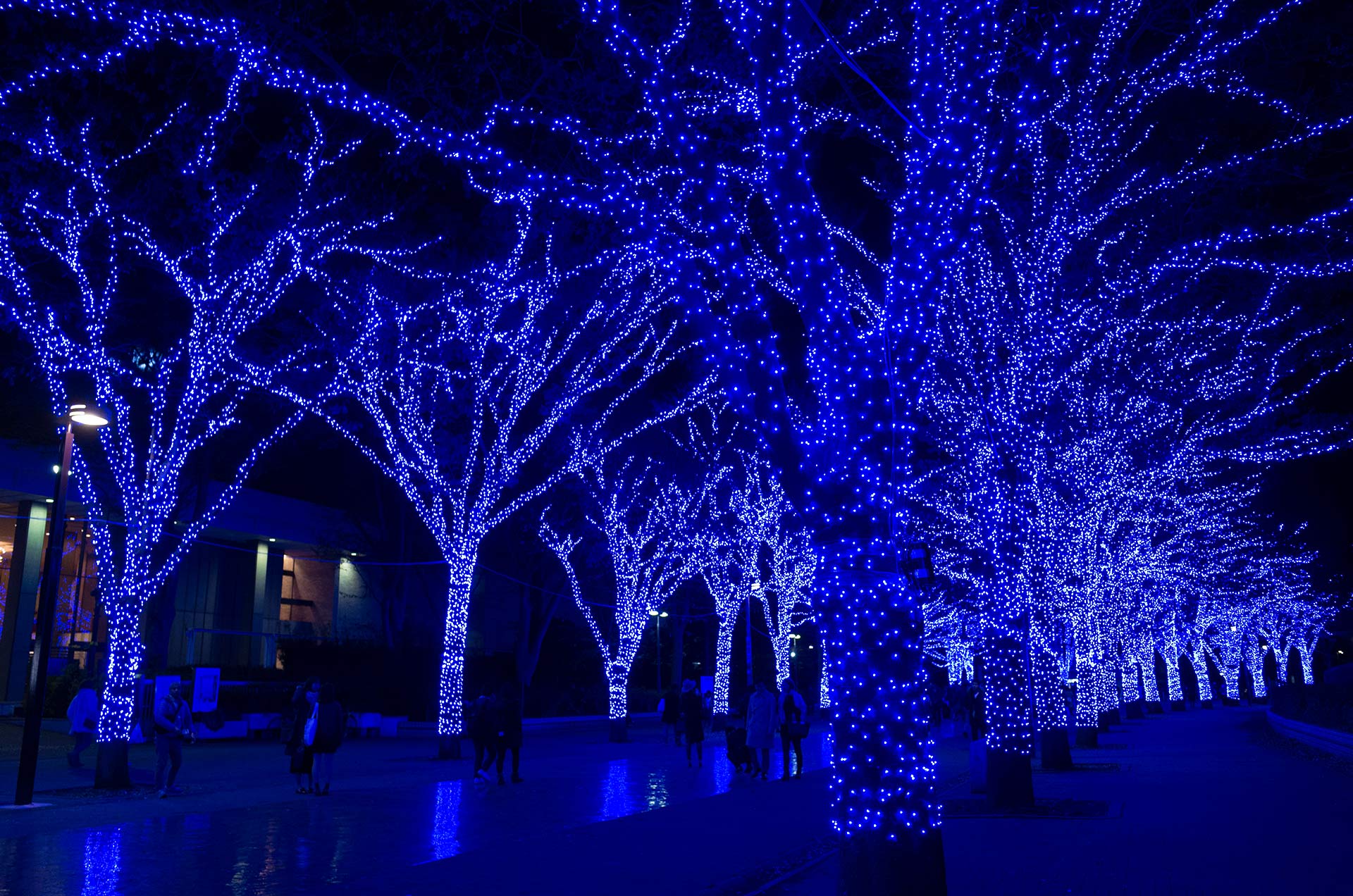 青の洞窟SHIBUYA09